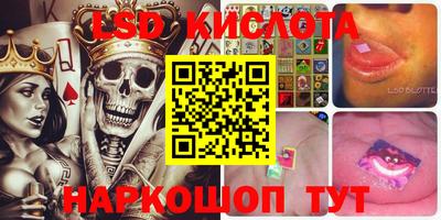 прущие грибы Кунгур