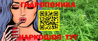 шишки Кулебаки
