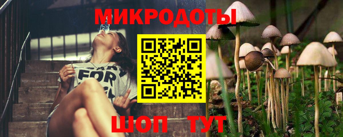 Галлюциногенные грибы Psilocybine cubensis  Вход с VPN  Гусиноозёрск  Галлюциногенные грибы MAGIC MUSHROOMS 